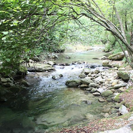 Hotel Arimannia การามานิโก แตร์เม ภายนอก รูปภาพ